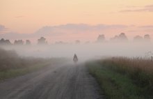 Дорога / 07.2011