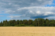 Цвета Смоленщины. / Цвета Смоленщины.