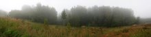 туман и лес / ***