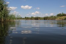 Речная гладь / Река в селе Старомайорское Украина