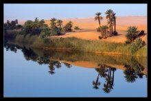 Оазис.... / раннее утро...

Подземные воды питают экосистему не пересыхающего озера Um Al Maa, затерянного среди бескрайних барханов юга Ливии....
Такие озера в Сахаре-большая редкость, а вода тут-на вес золота.