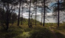 Возвращение / Поездка на велосипеде.