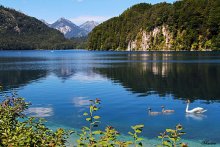 Лебединое озеро / Бавария