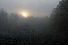 Туманный восход / Утренний туман