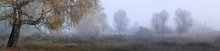 Осень приходит / Осень приходит в деревню с туманами