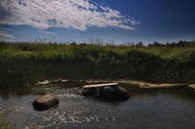 Речка / Вологодская область, Кипеловский сельсовет, по пути из деревни Черенеево в Беседы