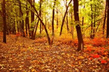 &nbsp; / Ну что, немного осени?