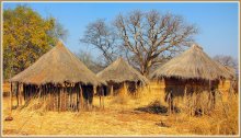 Замбия / Снимок сделан в сентябре 2012 года по дороге из Ливингстона в деревню вождя Мукуни в Замбии.
