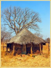 Африканская хижина / Снимок сделан в Замбии в сентябре 2012 года.