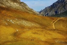 ходют кони / национальный парк Пики Европы, Испания