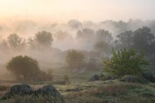Туманная рапсодия. / Туман и солнце создают сказочные панорамы, обыденных в повседневной жизни ландшафтов. Вид на реку Южный Буг в солнечно туманное утро.
