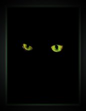 &nbsp; / Портрет черной кошки в темной комнате.