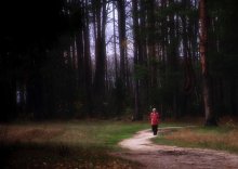По лесной дороге / Подмосковье