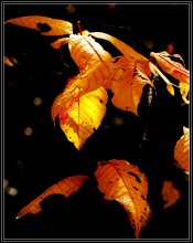 И будет осень, будут снова листья / в узорах расшитый прощальный наряд