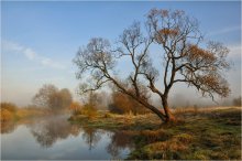 October morning / Октябрьское солнце хотя и светит, но уже не греет