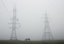 mist / *****