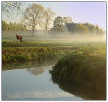 A beautiful morning. / A sunny and foggy beautiful morning.