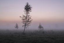 Туманное утро / В тумане