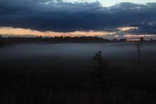 по полям туман и сырость / ***