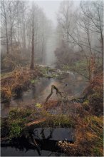 Осень на Пульве / Небольшая речушка Пульва