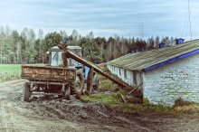 Не Голландия / Очистка хлева "открытым способом"