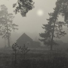 Туман в лесу / Деревня в лесу