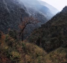 нетронутый край / непал гималаи