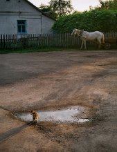 события в деревне 3 / ***