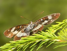 К взлёту готов / ***