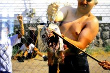 коллекция Сэра Элтона Джона / фотка не моя и не Джона.