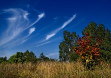 Так ощутимо дыхание осени!.. / ***