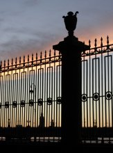 вечер из Летнего сада... / ***