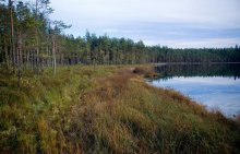 Лесные озера / Озеро Аксеново