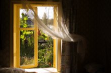 Окно в лето / ***