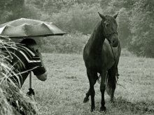 Фотограф и модель / В серию - Бельский и лошадки :)))