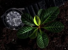 Шло время../вариант/ / студия