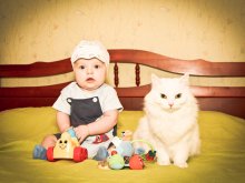 Сторожевая киса / Мальчик и его кошка