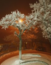 Улица красного фонаря. / Когда зима украсила деревья своим инеем.
