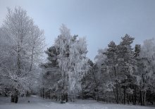 Зима-волшебница… / 15.01.2013