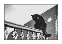  / К серии http://photoclub.by/author.php?id_auth=13867&works=1#id_auth_photo=13867&id_serie=5091&page=1