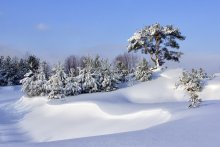 Снежные барханы / Прекрасным январским днем недалеко от Минска.