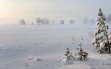 Где-то на краю деревни... / В морозное утро