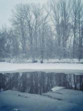 Природа / Морозы...