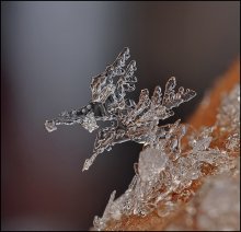 Природный взмах пера... / Природный взмах пера...