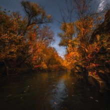 Убежать с рекою в осень... / Донецкая область.река Крынка.с.Покровка.