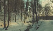 Cryptic Forest / Близ Волги
