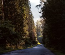 *нол** / енгншм