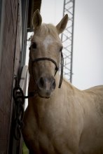 Люси))) / ............