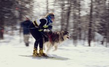 Скорость.. / Соревнования