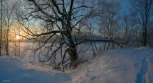 Зимний дуб / Вид на Охтинский разлив с Капсюльного шоссе, Петербург